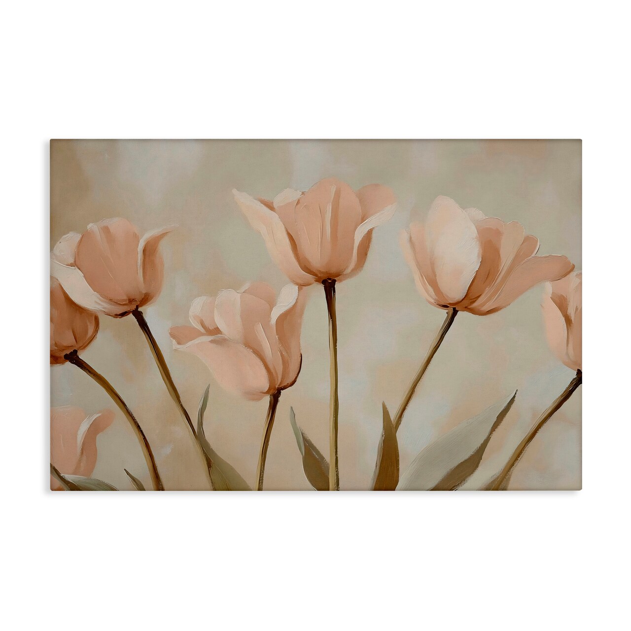 Stupell Industries Pale Pink Poppies Bundle Canvas, design by Franklyn Gregory